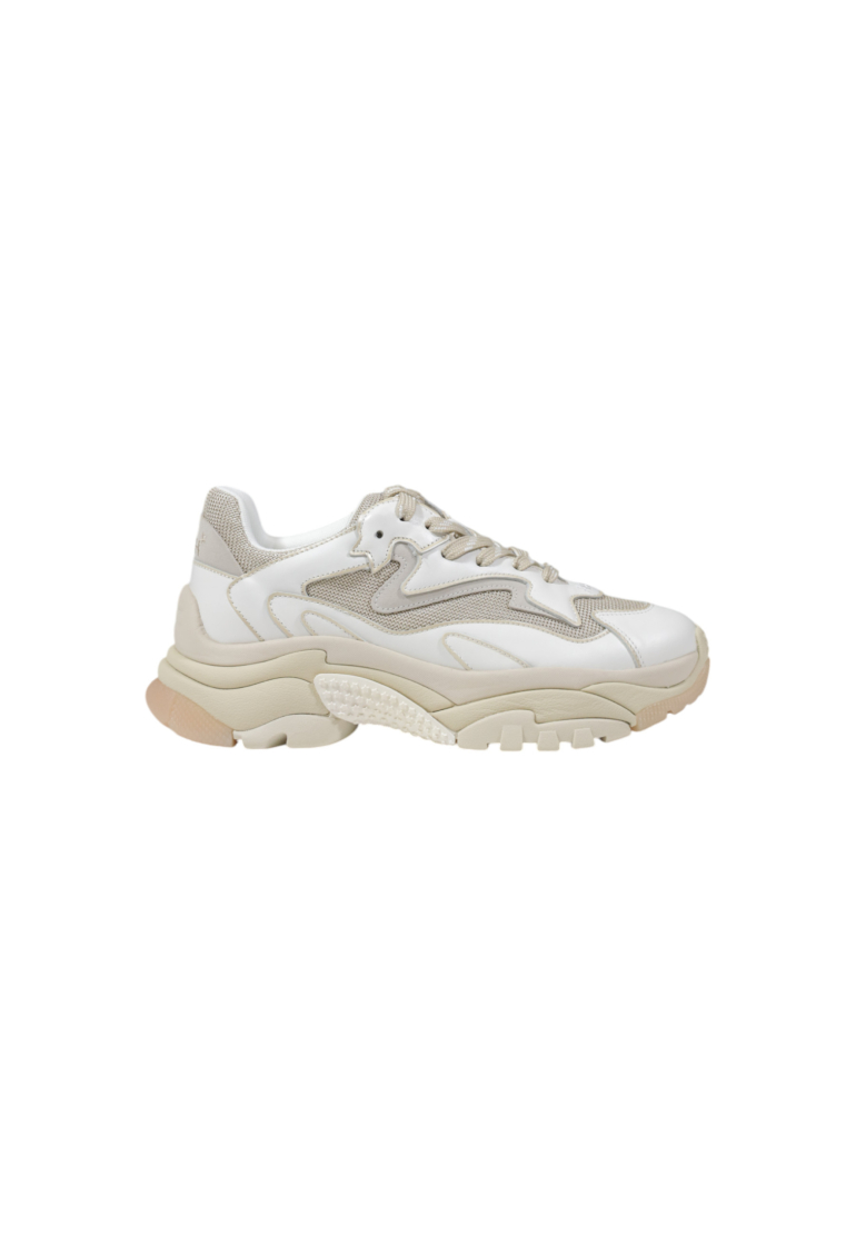 Ash  Women Sneakers