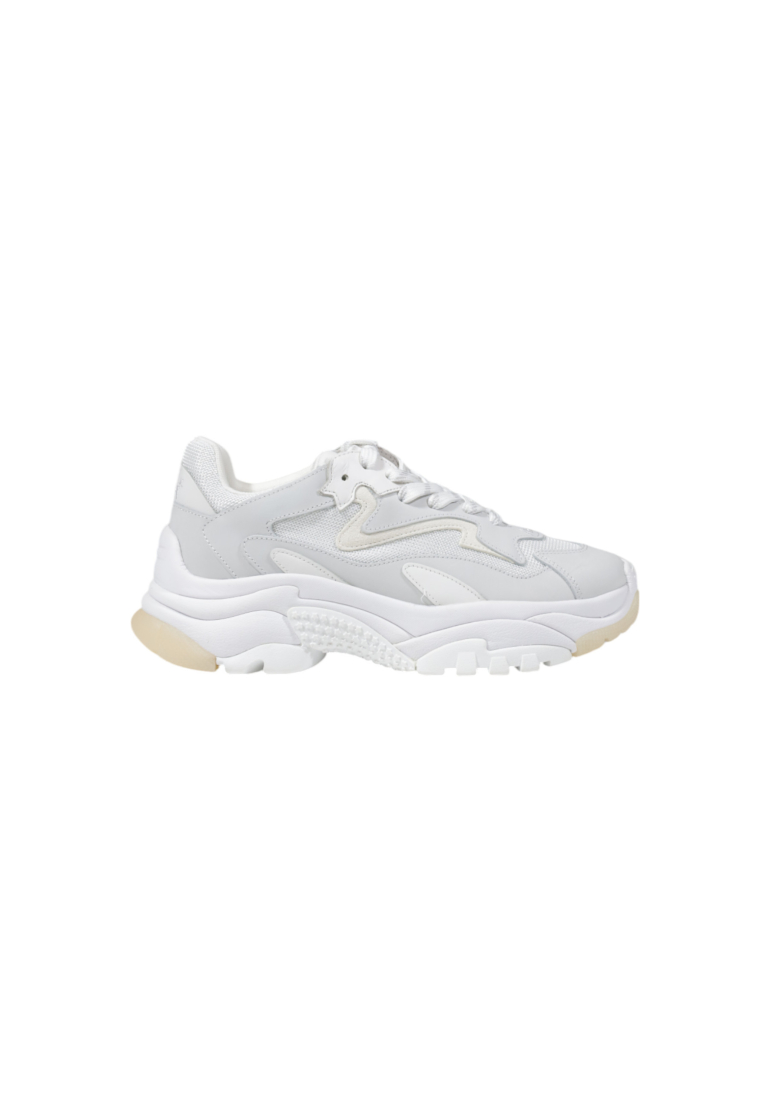 Ash  Women Sneakers